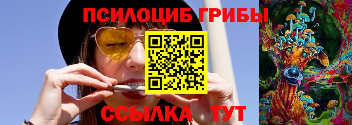 Псилоцибиновые грибы Cubensis Лысьва